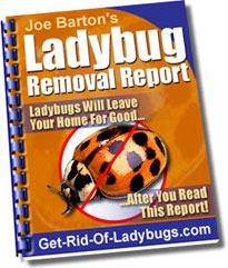 Joe Barton’s Ladybug Removal Report